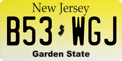 NJ license plate B53WGJ