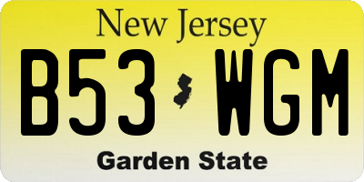 NJ license plate B53WGM
