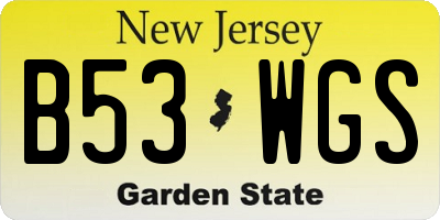 NJ license plate B53WGS