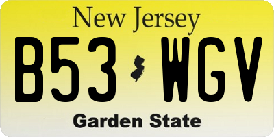 NJ license plate B53WGV