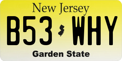 NJ license plate B53WHY