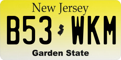 NJ license plate B53WKM