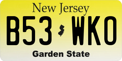 NJ license plate B53WKO