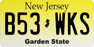 NJ license plate B53WKS