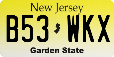NJ license plate B53WKX