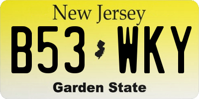 NJ license plate B53WKY