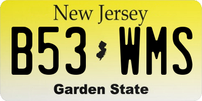 NJ license plate B53WMS