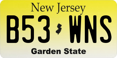 NJ license plate B53WNS