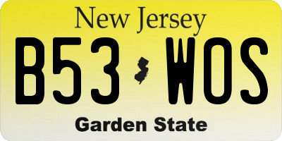 NJ license plate B53WOS