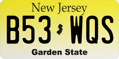 NJ license plate B53WQS