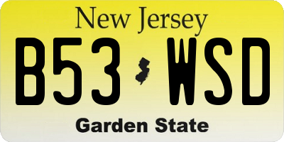 NJ license plate B53WSD
