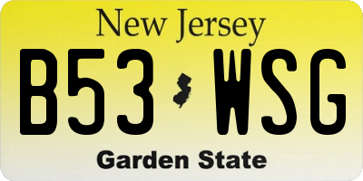 NJ license plate B53WSG