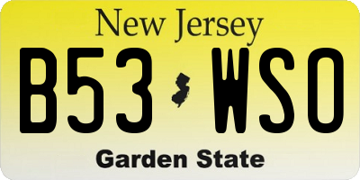 NJ license plate B53WSO