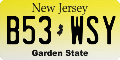 NJ license plate B53WSY
