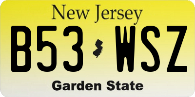 NJ license plate B53WSZ