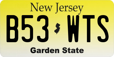 NJ license plate B53WTS