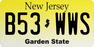 NJ license plate B53WWS
