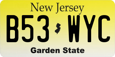 NJ license plate B53WYC