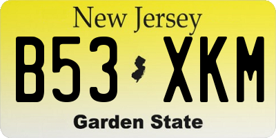 NJ license plate B53XKM
