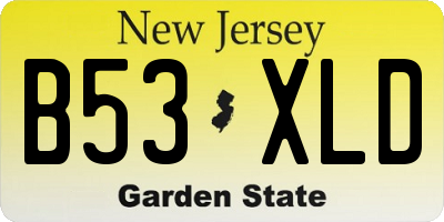 NJ license plate B53XLD
