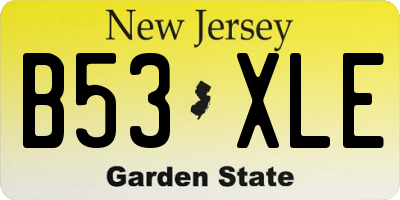 NJ license plate B53XLE