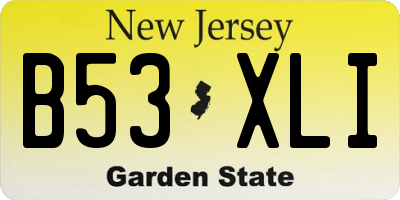 NJ license plate B53XLI