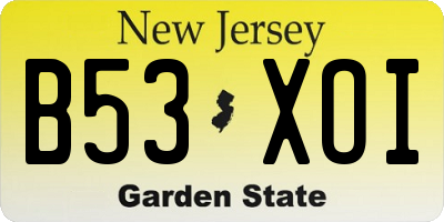 NJ license plate B53XOI