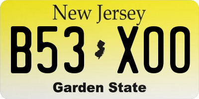 NJ license plate B53XOO