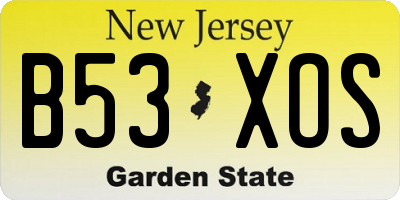 NJ license plate B53XOS