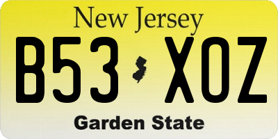 NJ license plate B53XOZ