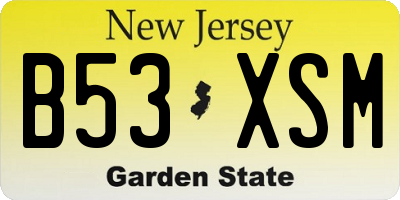 NJ license plate B53XSM