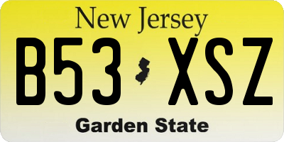 NJ license plate B53XSZ