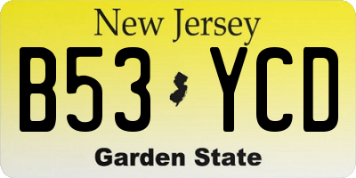 NJ license plate B53YCD