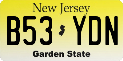 NJ license plate B53YDN