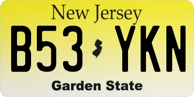 NJ license plate B53YKN
