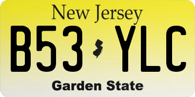 NJ license plate B53YLC