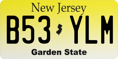 NJ license plate B53YLM