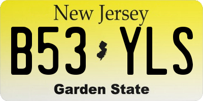 NJ license plate B53YLS