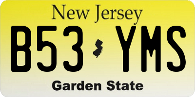 NJ license plate B53YMS