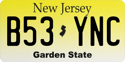 NJ license plate B53YNC