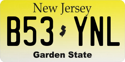 NJ license plate B53YNL