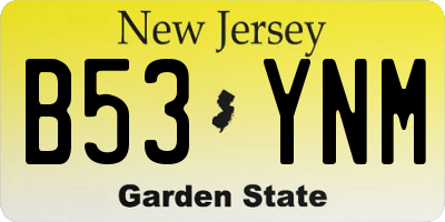 NJ license plate B53YNM