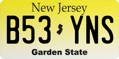 NJ license plate B53YNS