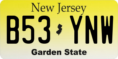 NJ license plate B53YNW