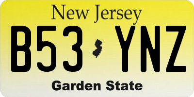 NJ license plate B53YNZ