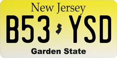 NJ license plate B53YSD