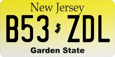 NJ license plate B53ZDL