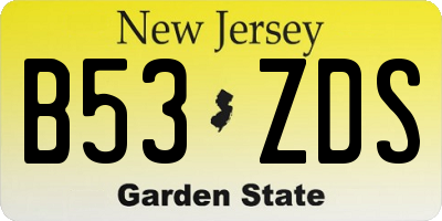 NJ license plate B53ZDS