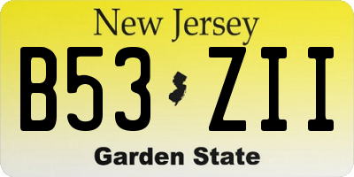 NJ license plate B53ZII