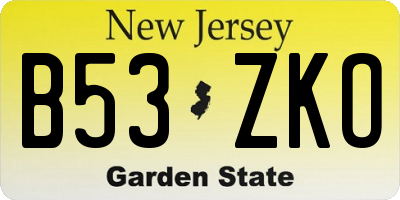 NJ license plate B53ZKO
